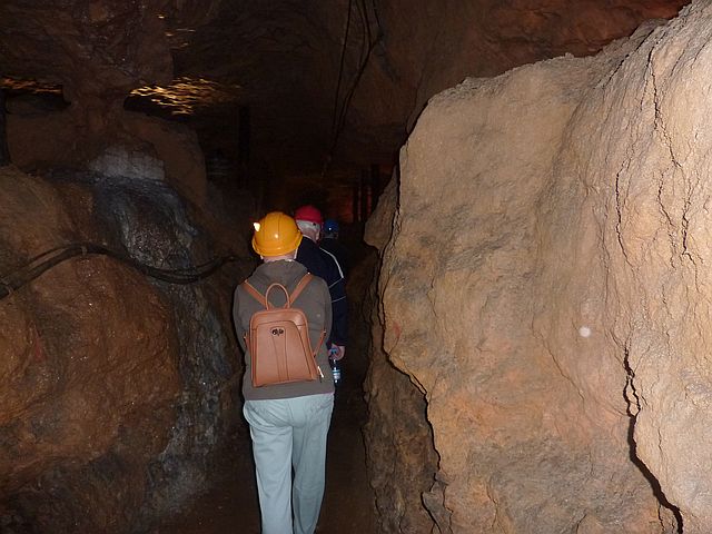 P1130211.JPG