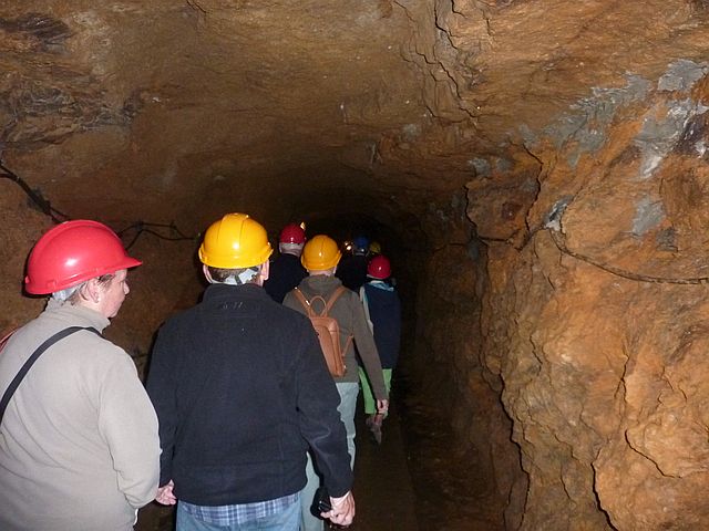P1130214.JPG