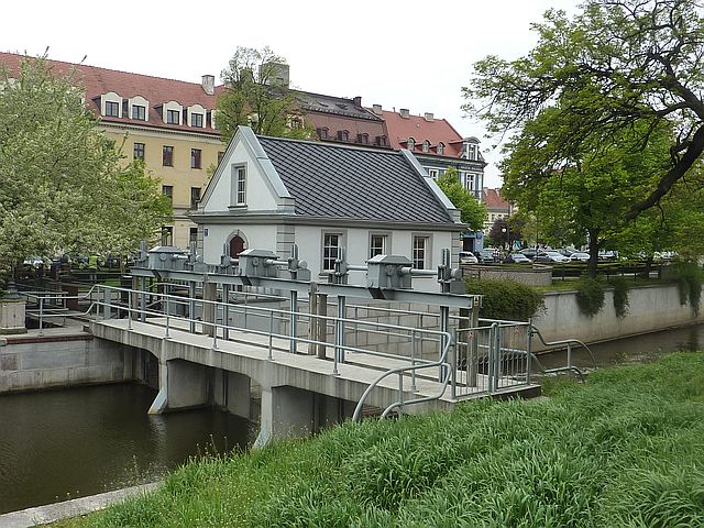 P1130979.JPG