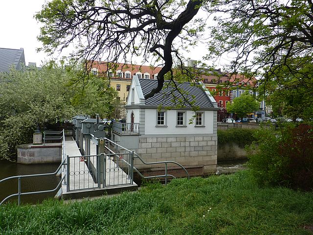 P1130980.JPG
