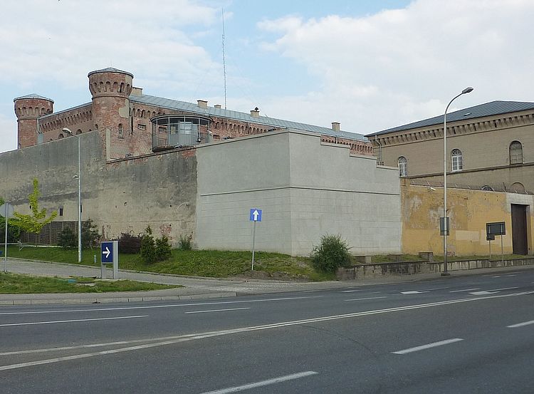 P1140523.JPG