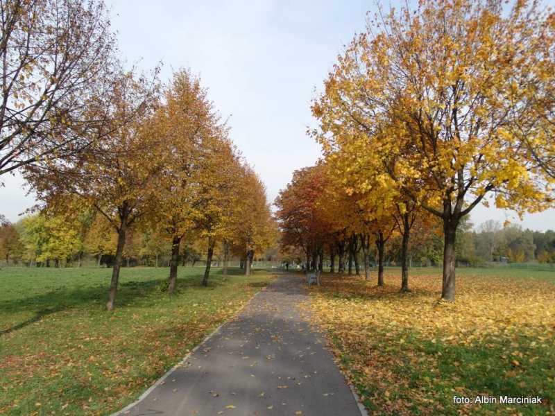 ParkLotnikówPolskich(4).JPG