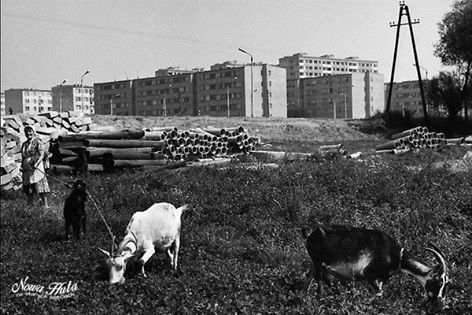 osNaLotnisku.jpg