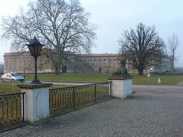P1130894.JPG