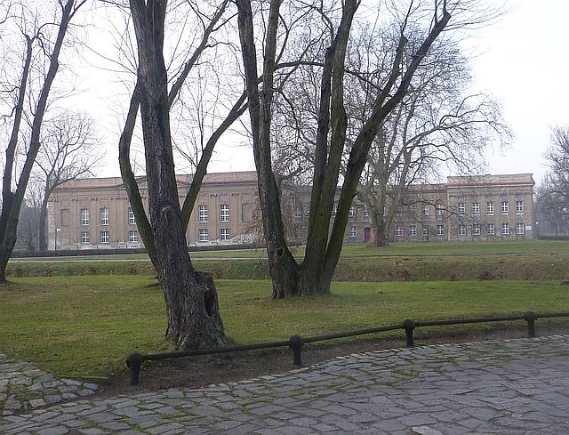 P1130962.JPG
