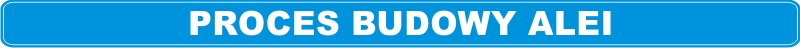PROCESBUDOWYALEI.jpg