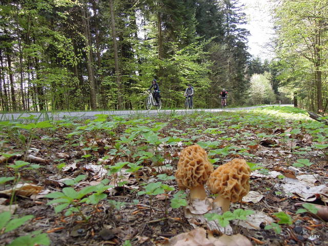DSCN9436.JPG