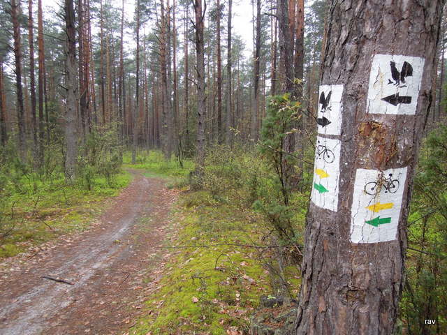 DSCN9465.JPG
