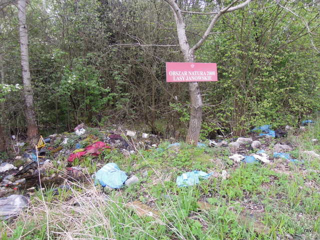 DSCN9472.JPG
