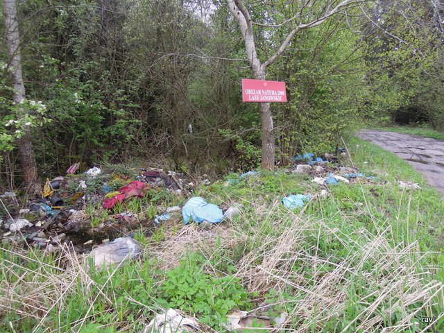 DSCN9473.JPG
