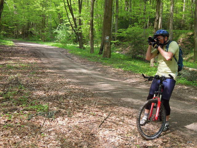 DSCN9528.JPG