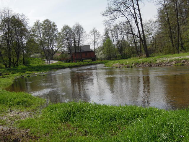 DSCN9534.JPG