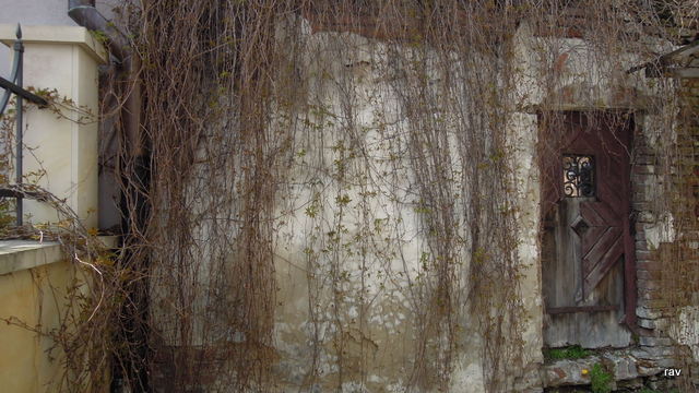 DSCN9549.JPG