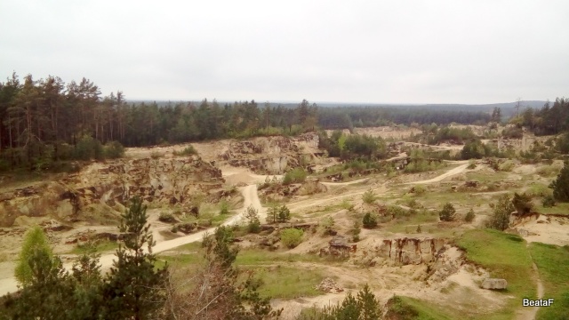 DSC_1167a.jpg