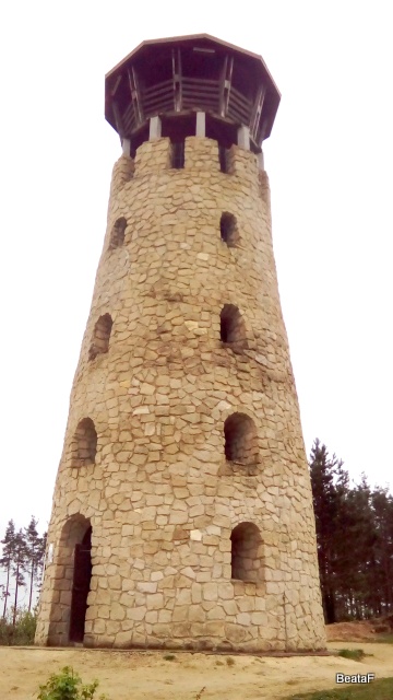 DSC_1168a.jpg