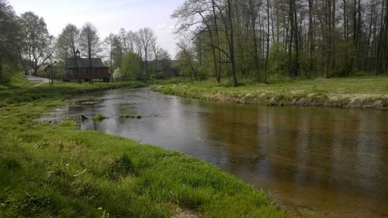 WP_20160502_009.jpg