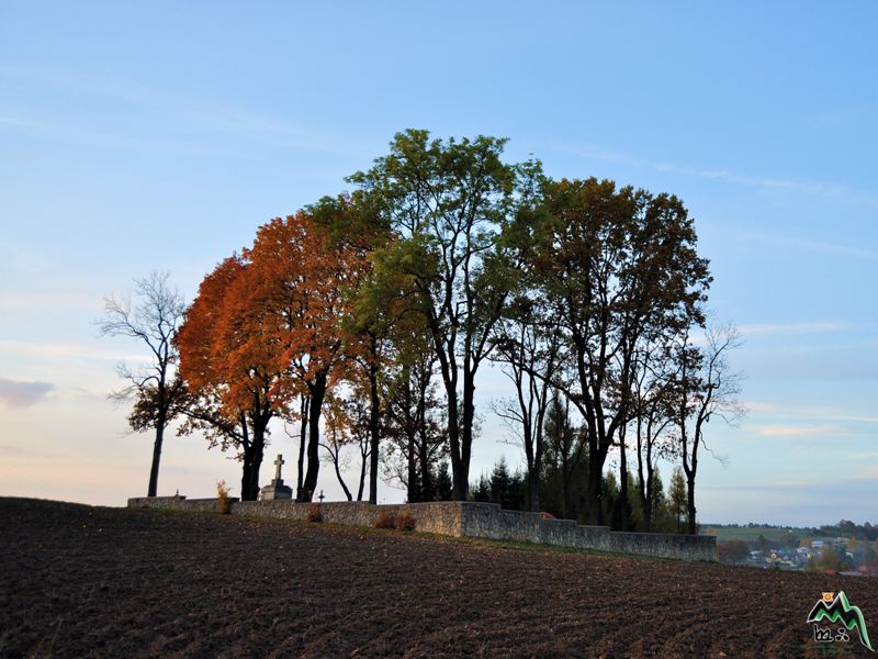 DSC_1702.JPG