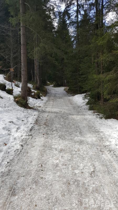 20170326_105410.jpg