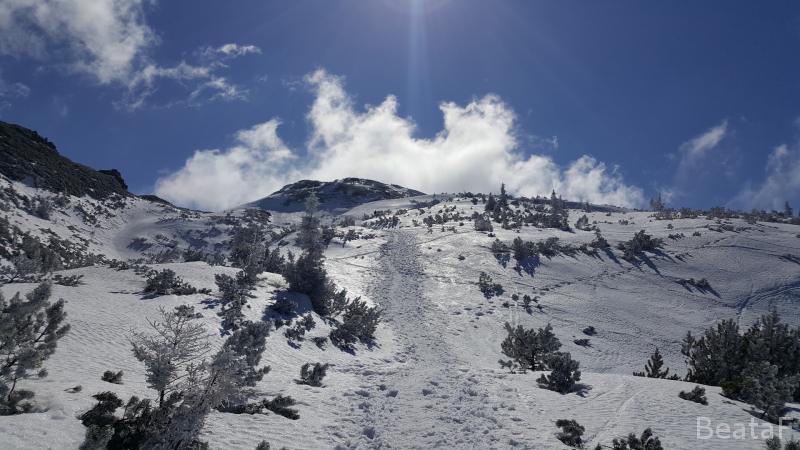 20170326_120443.jpg