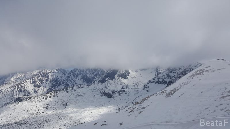 20170326_133603.jpg