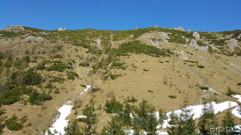 20170326_151607.jpg