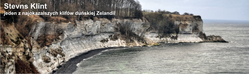 StevnsKlintduńskiejZelandii.jpg