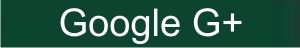 google+.jpg
