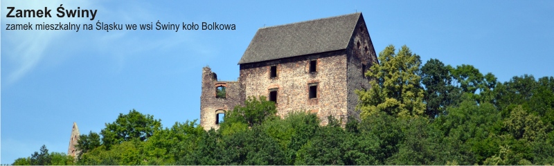 zamekŚwiny.jpg