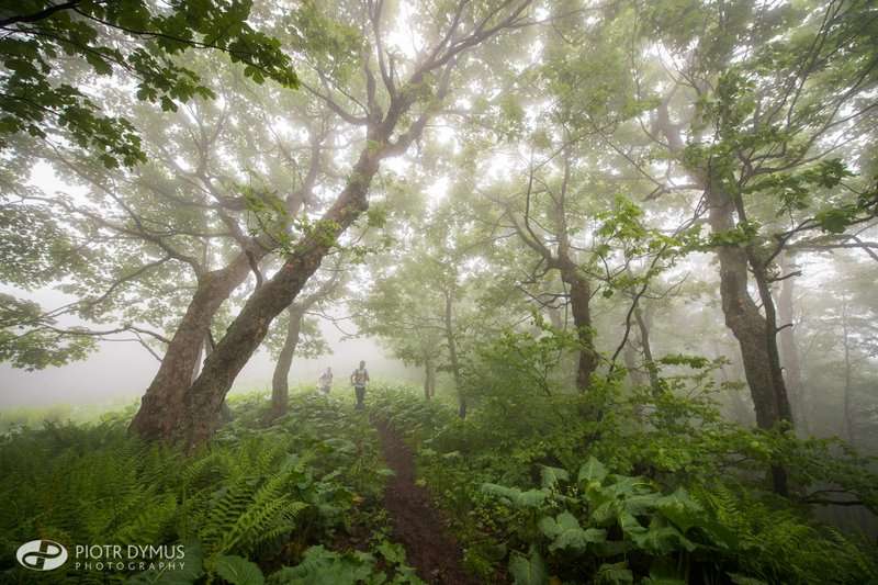 Bieg Rzeźnika 2017 fot. Piotr Dymus