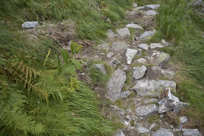 obryw skalny w Ttrach 4