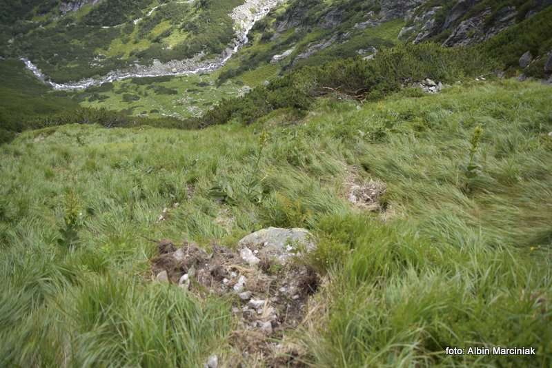 obryw skalny w Ttrach 6