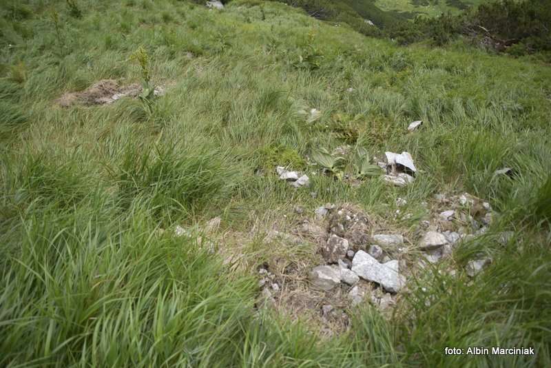 obryw skalny w Ttrach 7