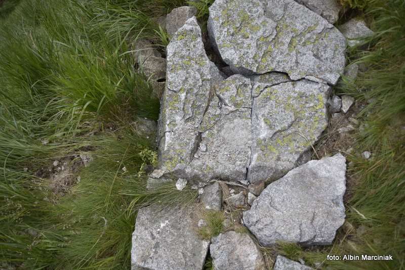 obryw skalny w Ttrach 8