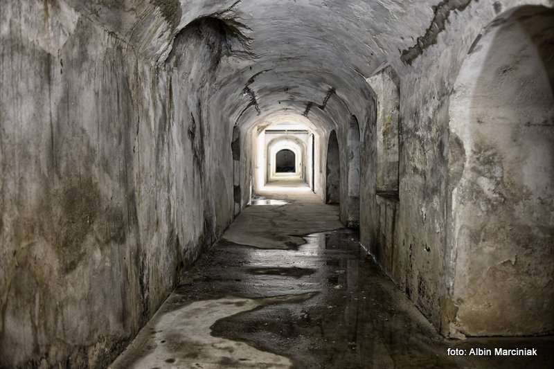 Fort pancerny 49a Dłubnia Twierdza Kraków 9