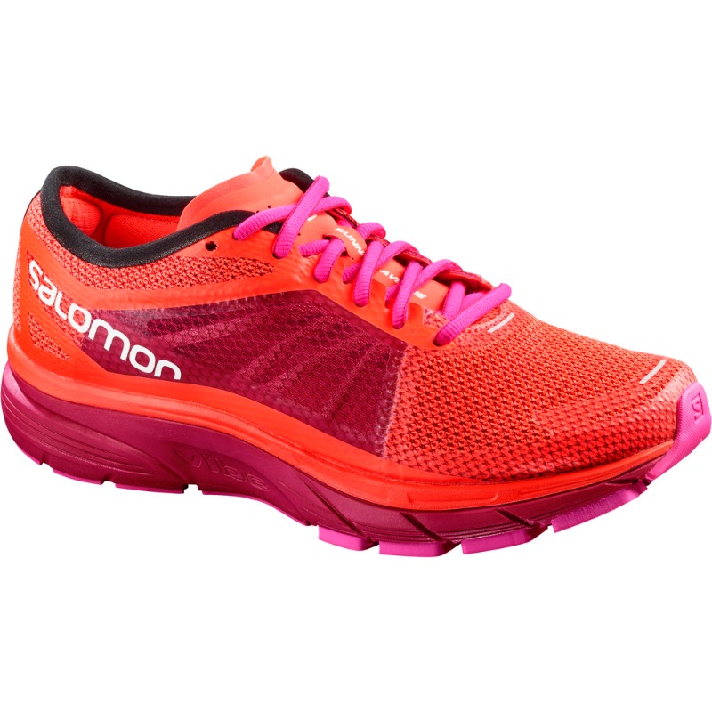 Salomon.jpg