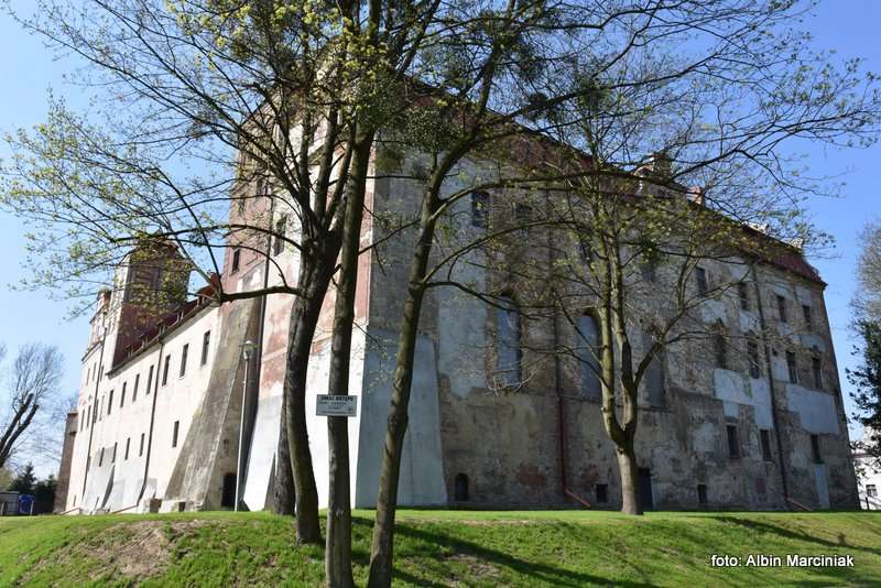 Zamek w Niemodlinie 12