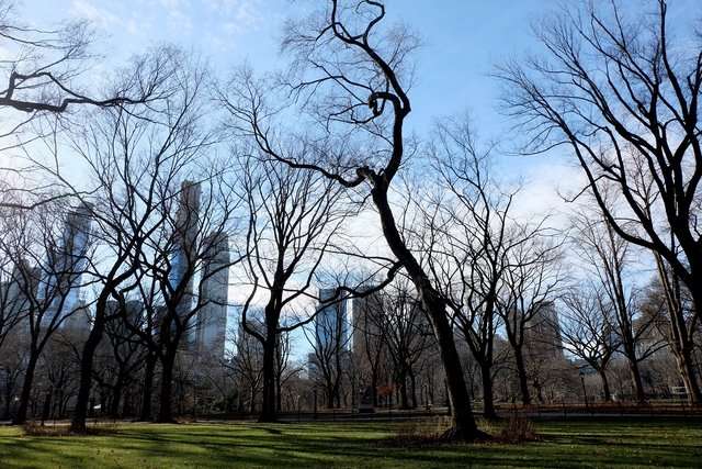 Zdj 10. Central Park