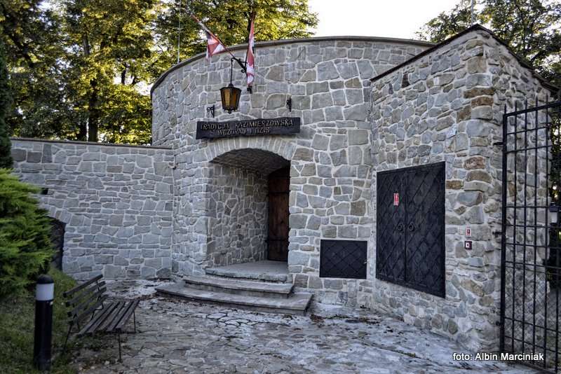  Zamek Kazimierzowski w Przemyślu 10