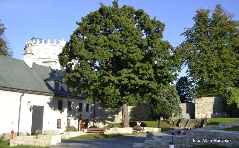  Zamek Kazimierzowski w Przemyślu 22