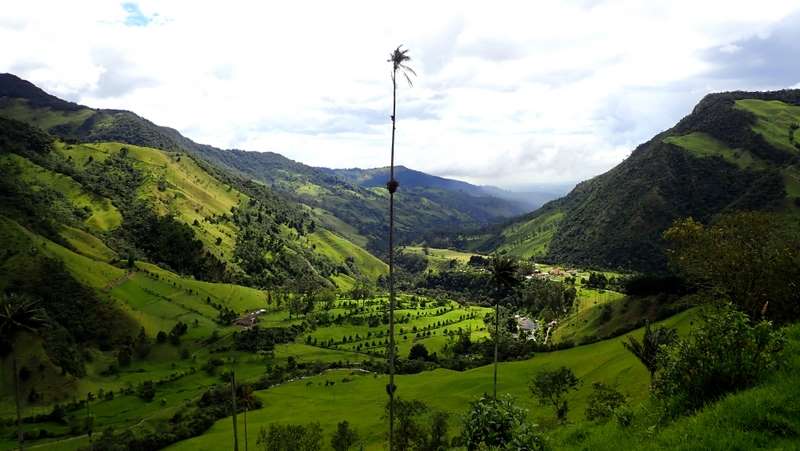 06 Kolumbia Valle de Cocora