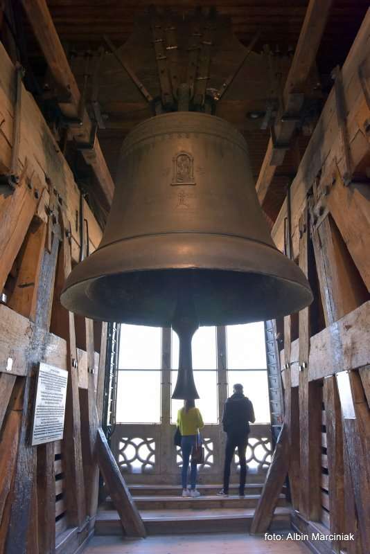 Królewski Dzwon Zygmunta 24