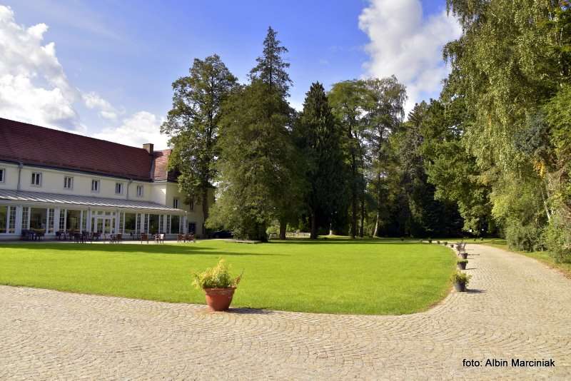 Zamek na Skale w Trzebieszowicach 2