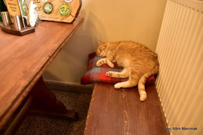 schronisko na Hali Szrenickiej 7