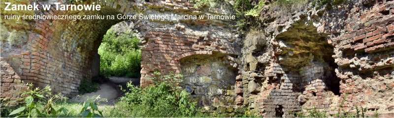 Zamek w Tarnowie