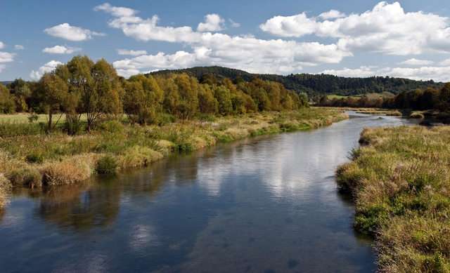 foto 02 pawel brzozowski