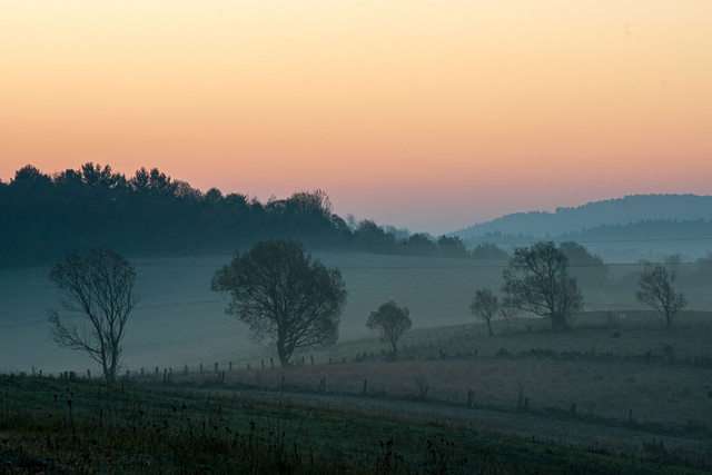 foto 05 andrzej sacha
