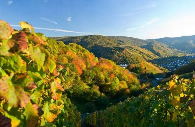 Turystyka przyjazdowa do Niemiec 1