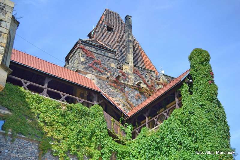 Zamek Grodziec foto Albin Marciniak 12