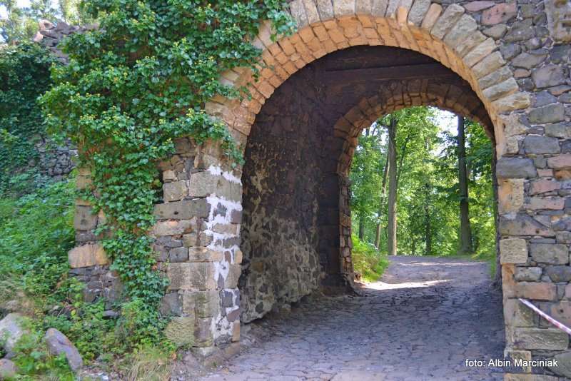 Zamek Grodziec foto Albin Marciniak 4