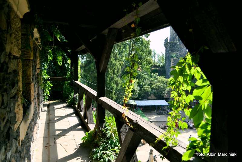 Zamek Grodziec foto Albin Marciniak 47